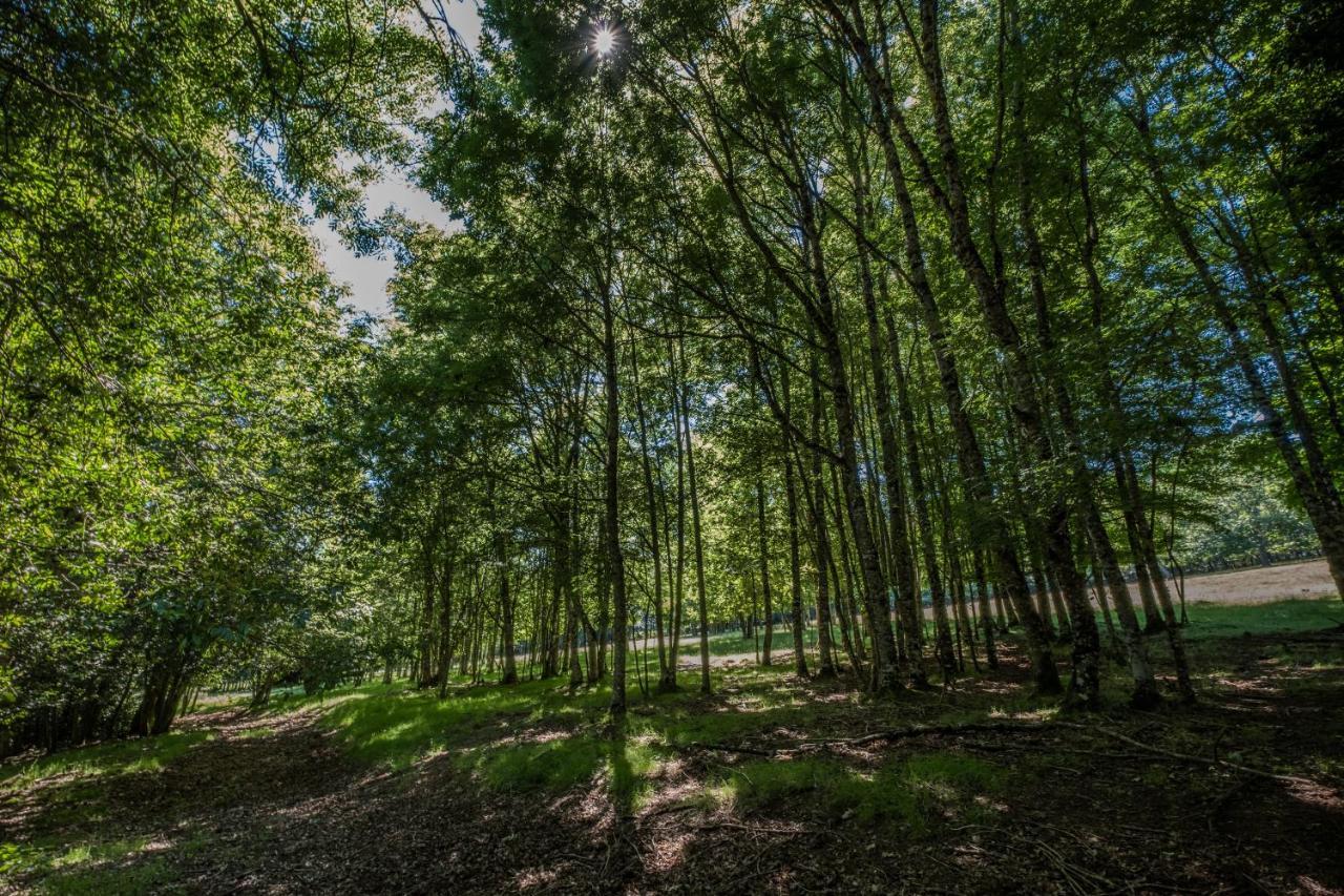 Domaine De Malouzies Hotel Fonties-Cabardès Kültér fotó