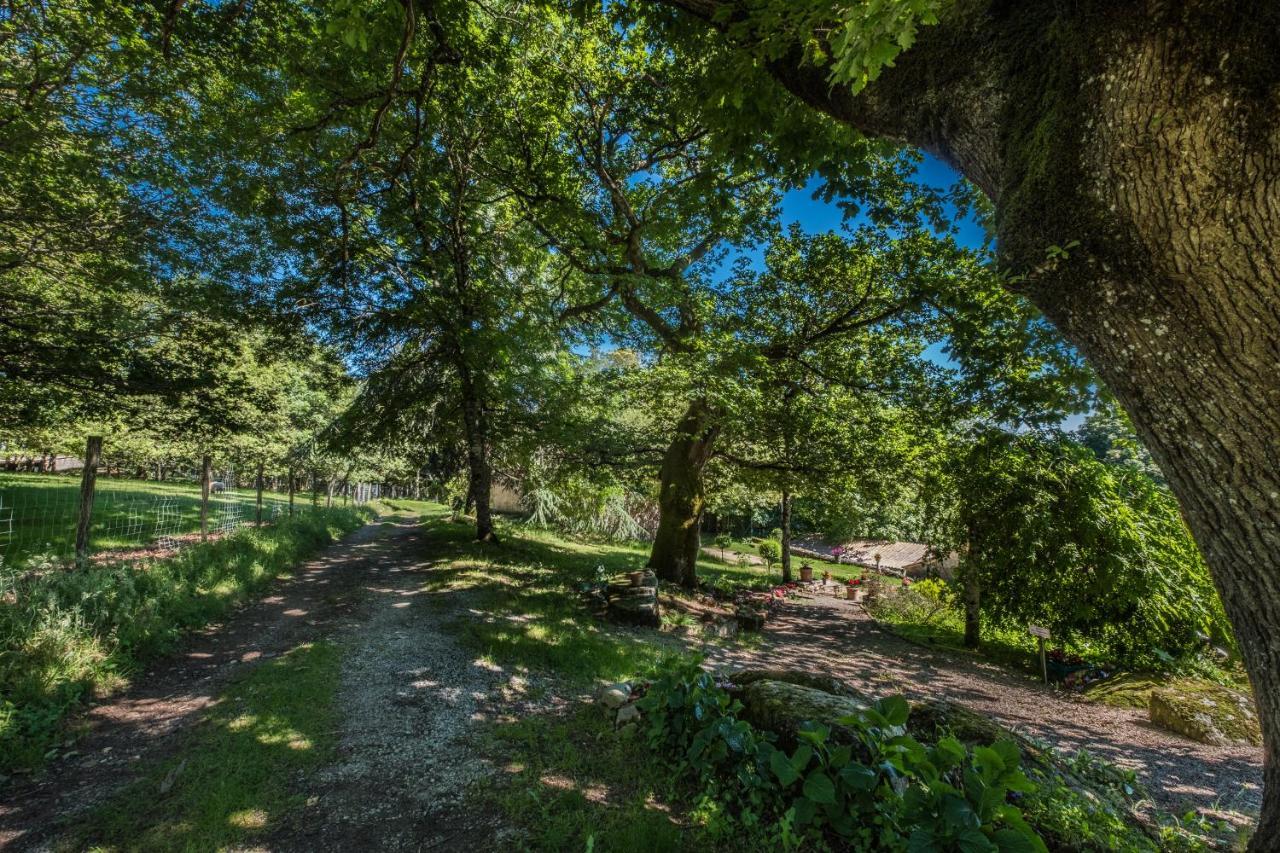 Domaine De Malouzies Hotel Fonties-Cabardès Kültér fotó