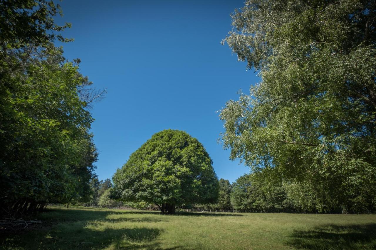 Domaine De Malouzies Hotel Fonties-Cabardès Kültér fotó